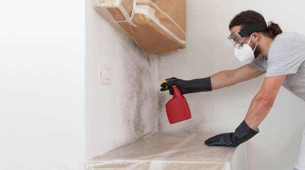 Professional Attic Mold Removal technician working in Pompton Lakes, NJ
