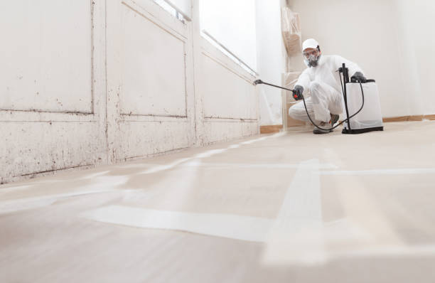 24/7 Emergency Attic Mold Removal experts in Pompton Lakes, NJ
