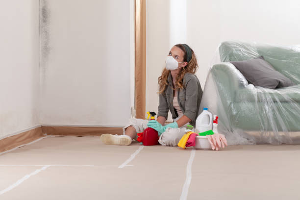 Reliable Attic Mold Removal contractor in Pompton Lakes, NJ by WQB Mold Removal