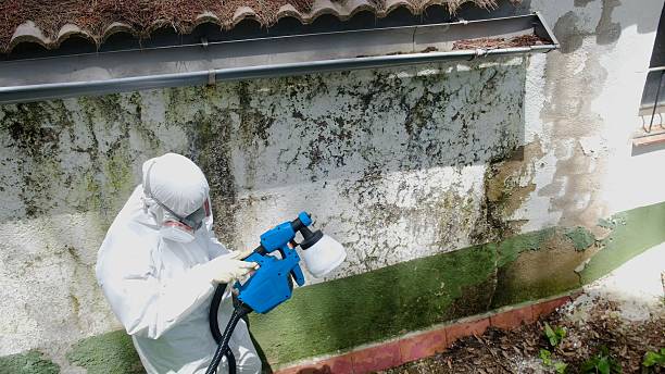 Top rated local Attic Mold Removal specialists in Pompton Lakes, NJ